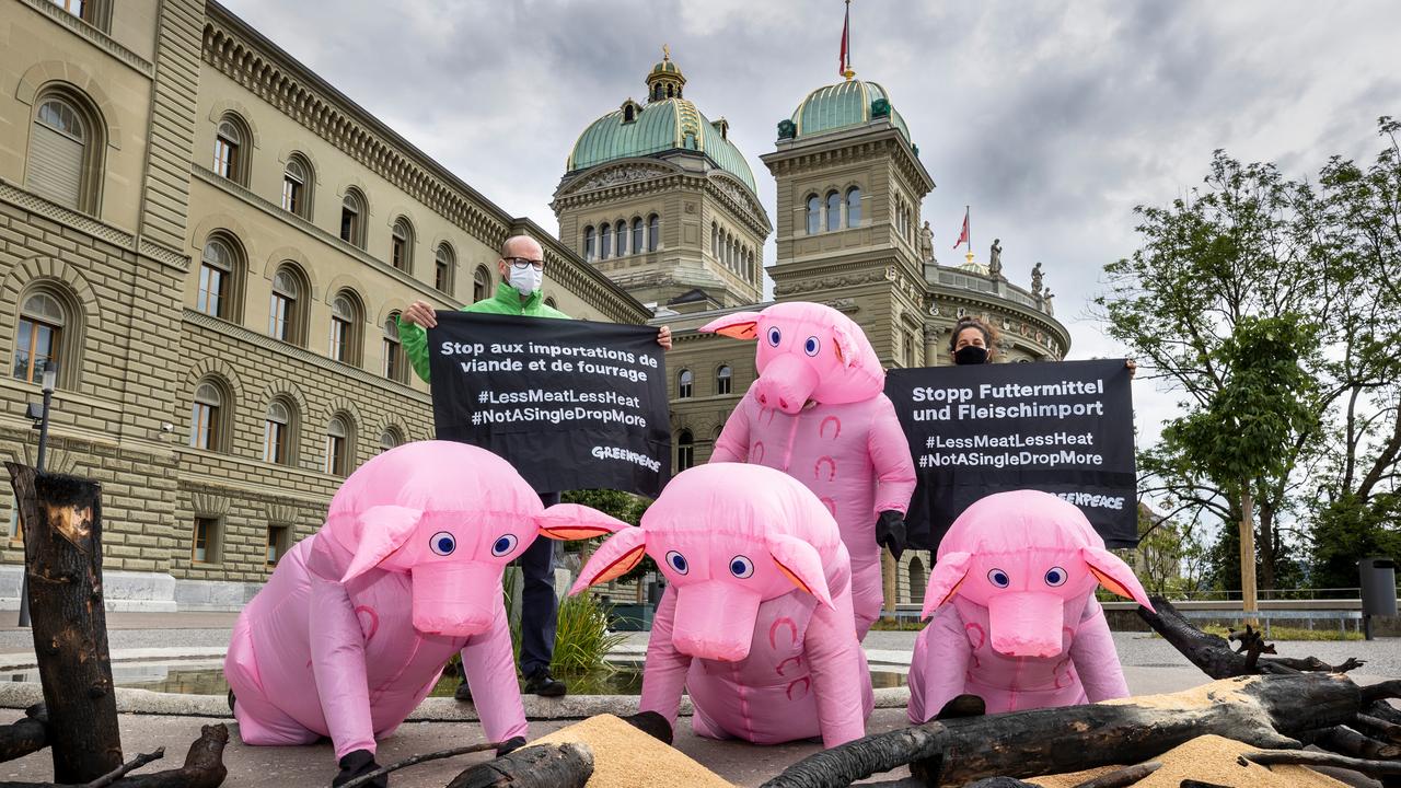 Pétition contre certaines importations de viande et de fourrages déposée à Berne. [Greenpeace - Severin Nowacki]