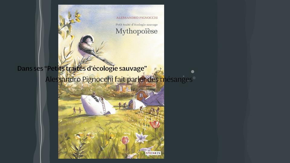 Vignette Mythopoïèse [RTS]