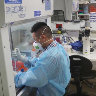 Un scientifique en pleine recherche sur le Covid-19 dans un laboratoire australien. [Keystone - David Crosling]