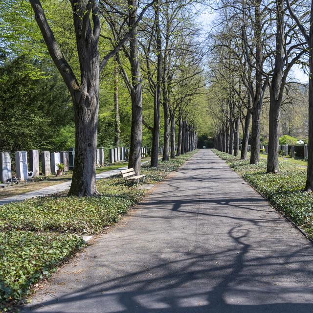 Une allée dans un cimetière bâlois, photographiée en avril 2020. [Keystone - Georgios Kefalas]