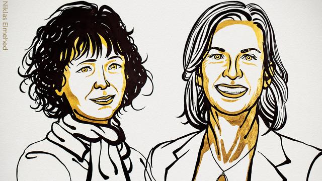 La Française Emmanuelle Charpentier et l'Américaine Jennifer A. Doudna reçoivent le Nobel de chimie "pour le développement d'une méthode d'édition du génome". [Nobel Prize - Niklas Elmehed]