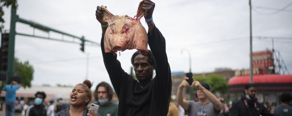 Un homme brandit une tête de porc à destination des policiers, à Minneapolis, le 27 mai 2020. [Star Tribune/AP/Keystone - Jeff Wheeler]