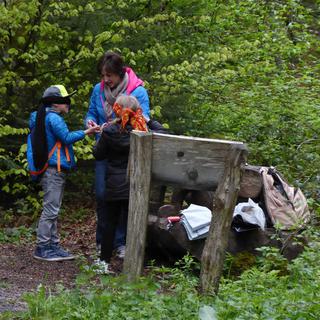 La Maison Près du Bois organise des camps de sensibilisation à la nature avec des groupes d'enfants. [Facebook / La Maison près du Bois - DR]