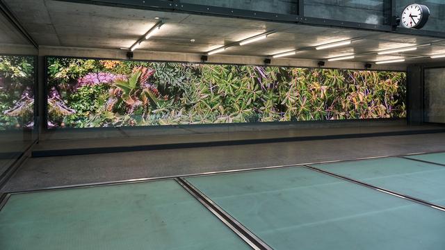 Cecilia Bengolea, "TRIPTYK", une vidéo à découvrir sur le parcours du Léman Express, dans la gare de Champel. [Serge Frühauf]