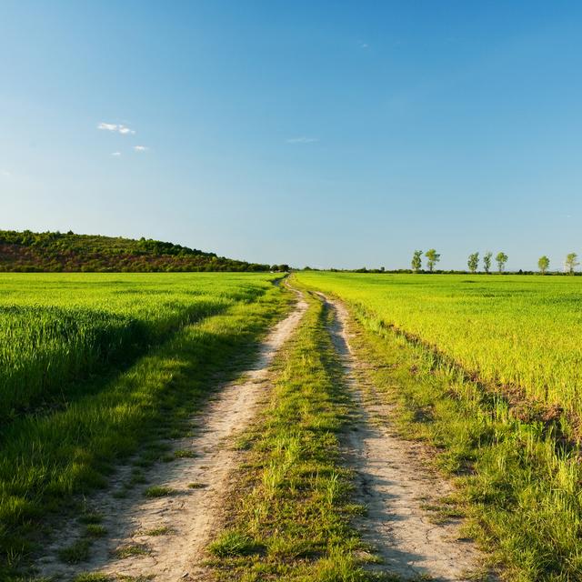 L'appel du vert. [Depositphotos - Xalanx]