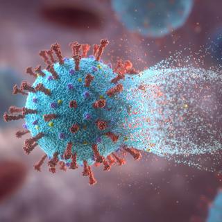 Le vaccin reste-t-il efficace en cas de mutation du SARS-CoV-2? [Science Photo Library/AFP - KTS Design]