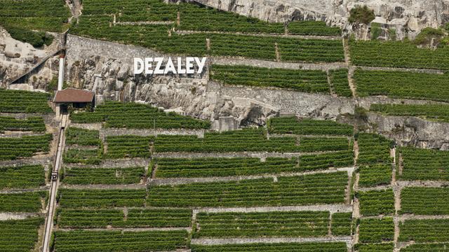 Un vignoble unique du Lavaux serait menacé par un projet immobilier. [Keystone - Alessandro Della Bella]