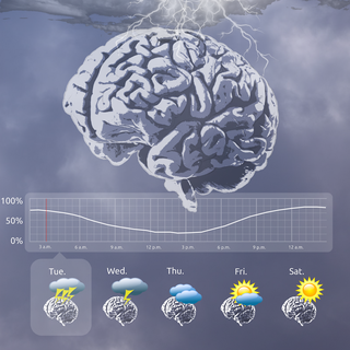 À l’image des perturbations météorologiques, plusieurs échelles temporelles existent dans l’activité cérébrale épileptique. 
Mélanie Proix
Unige 2020 [Unige 2020 - Mélanie Proix]