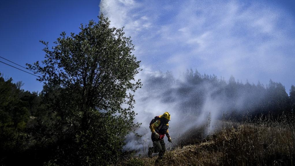 Des incendies frappent régulièrement le pourtour méditerranéen, comme ici en août 2019 au Portugal. [AFP - Patricia de Mela Moreira]