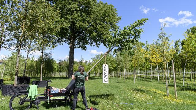 Le concept de Revenu de Transition Ecologique fait son chemin. [KEYSTONE - Anthony Anex]