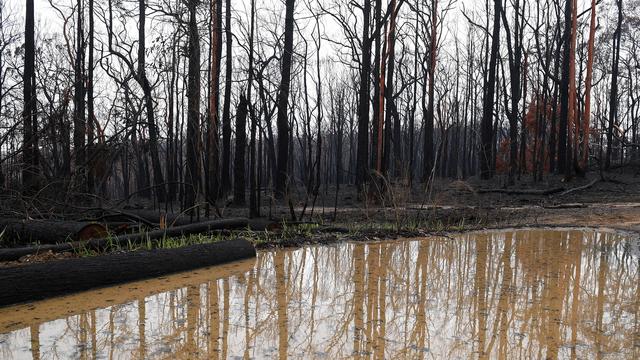 Les plus fortes précipitations depuis près de dix ans sont tombées sur certaines régions en Australie. [Keystone - EPA/Dan Himbrechts]