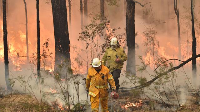 Des pompiers mobilisés dans la ville australienne de Jerrawangala, en Nouvelle-Galles du Sud, le 1er janvier 2020. [AFP - Peter Parks]