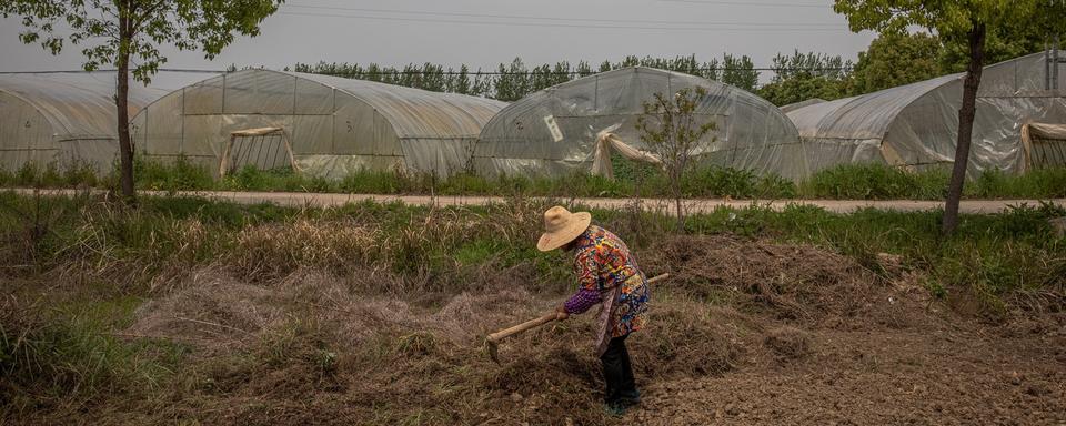 Une femme âgée travaille la terre à Wuhan, en Chine, après le confinement. [EPA/Keystone - Roman Pilipey]