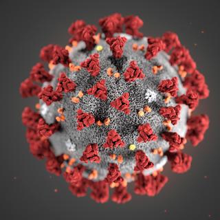 La modélisation en 3D du nouveau coronavirus. [Keystone - Centers for Disease Control and Prevention]