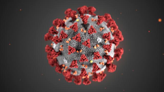 La modélisation en 3D du nouveau coronavirus. [Keystone - Centers for Disease Control and Prevention]