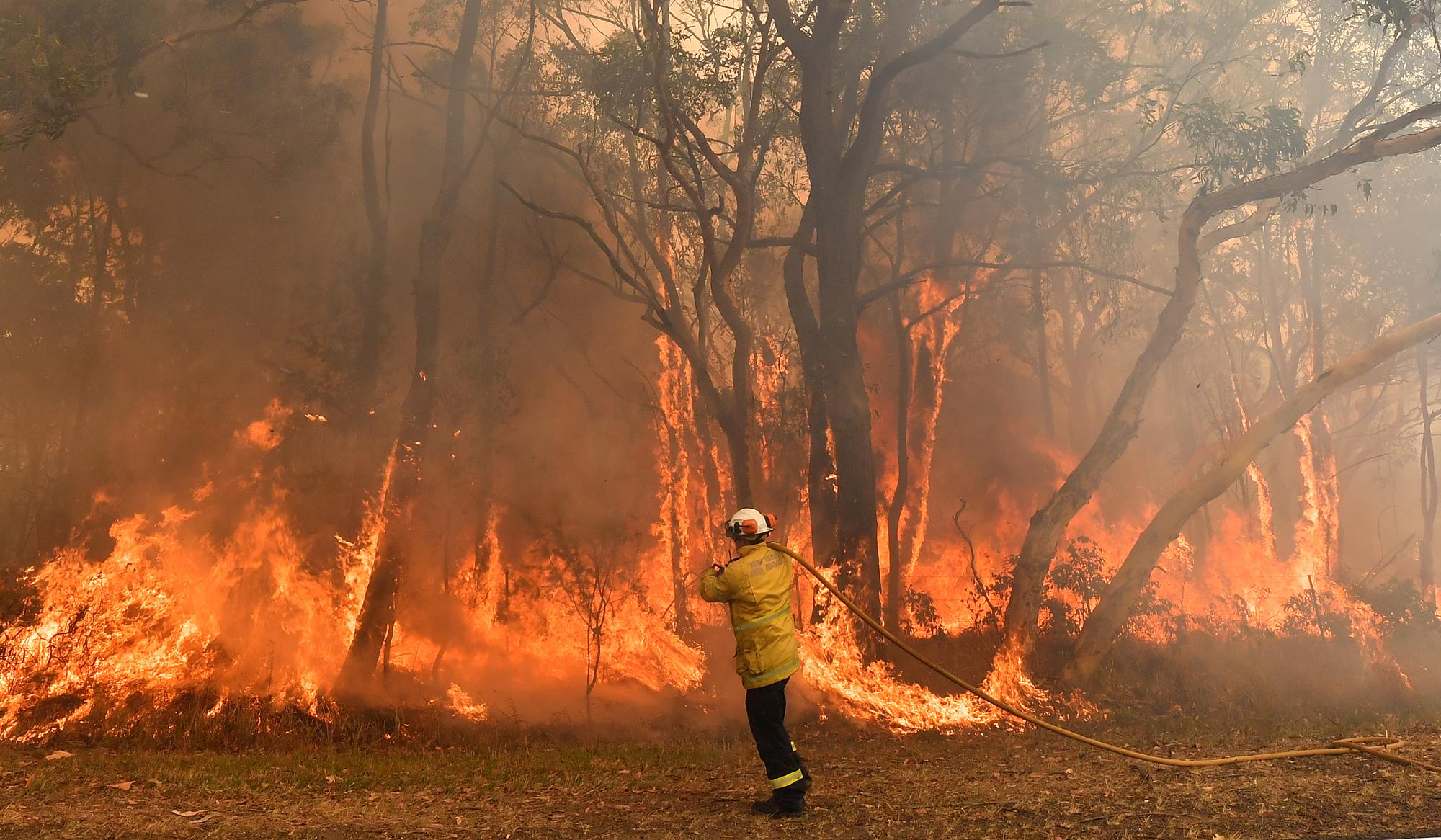 Seul face aux flammes qui se rapprochent à une centaine de kilomètres au nord de Sydney. [afp - Saeed Khan]