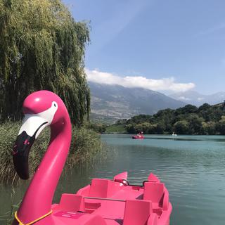 Un pédalo en forme de flamand rose sur le lac de Géronde. [RTS - Joëlle Cachin]
