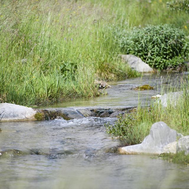 Pour la première fois, des chercheurs ont pu mesurer directement dans un cours d’eau la concentration de certains pesticides. [Keystone - Manuel Lopez]