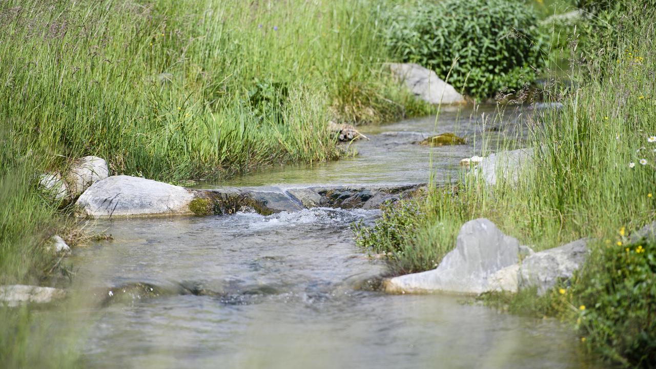 Pour la première fois, des chercheurs ont pu mesurer directement dans un cours d’eau la concentration de certains pesticides. [Keystone - Manuel Lopez]