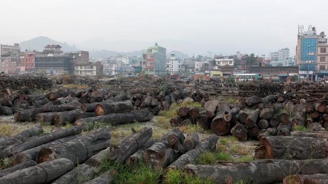 L'impact de l'homme sur la nature devrait continuer à provoquer des pandémies, estime l'ONU. [Reuters - Navesh Chitrakar]