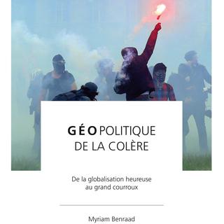 "Géopolitique de la colère: de la globalisation heureuse au grand courroux", de Myriam Benraad. [Le Cavalier Bleu Editions]