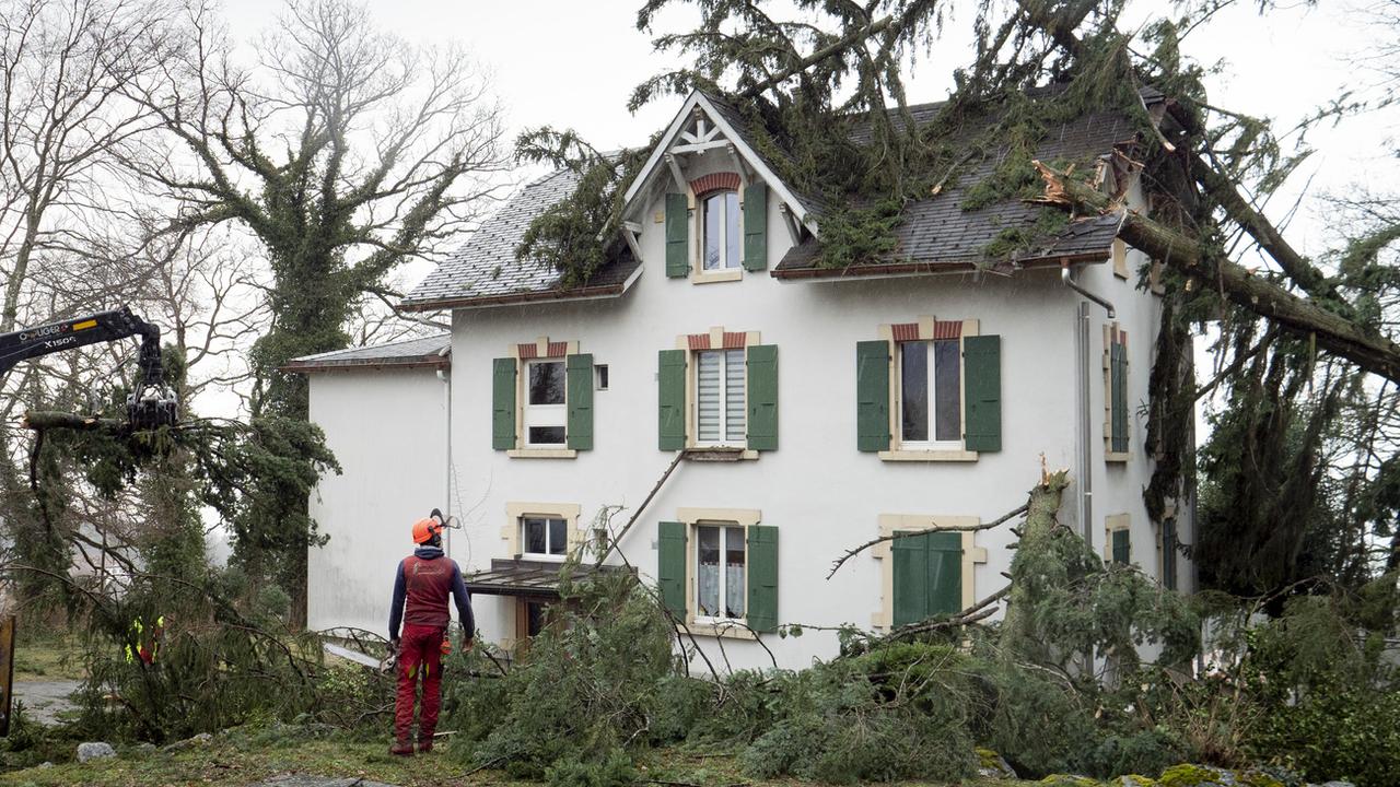 En février 2020, la tempête Sabine a fait des dégâts dans le Val-de-Ruz. [KEYSTONE/Laurent Darbellay]