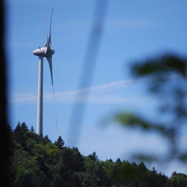 La part de l'énergie verte est de seulement 10% dans la production de chaleur et 3% dans le secteur des transports. [RTS - Gaël Klein]