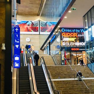 Vue générale de la Gare de Lausanne, et son centre commercial, février 2020. [RTS - Lucile Solari]
