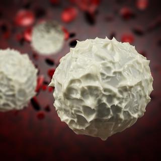 Les globules blancs jouent un rôle important dans la défense de l'organisme.
ezumeimages
Depositphotos [ezumeimages]