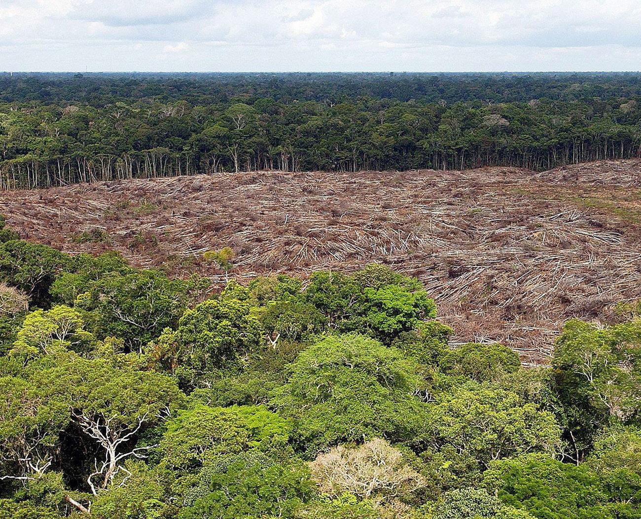 Vue aérienne d'une zone déforestée en Amazonie brésilienne. [EPA/Keystone - Marcela Sayao]