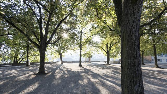 Zone ombragée au Lindenhof, à Zurich. [Keystone - Christian Beutler]