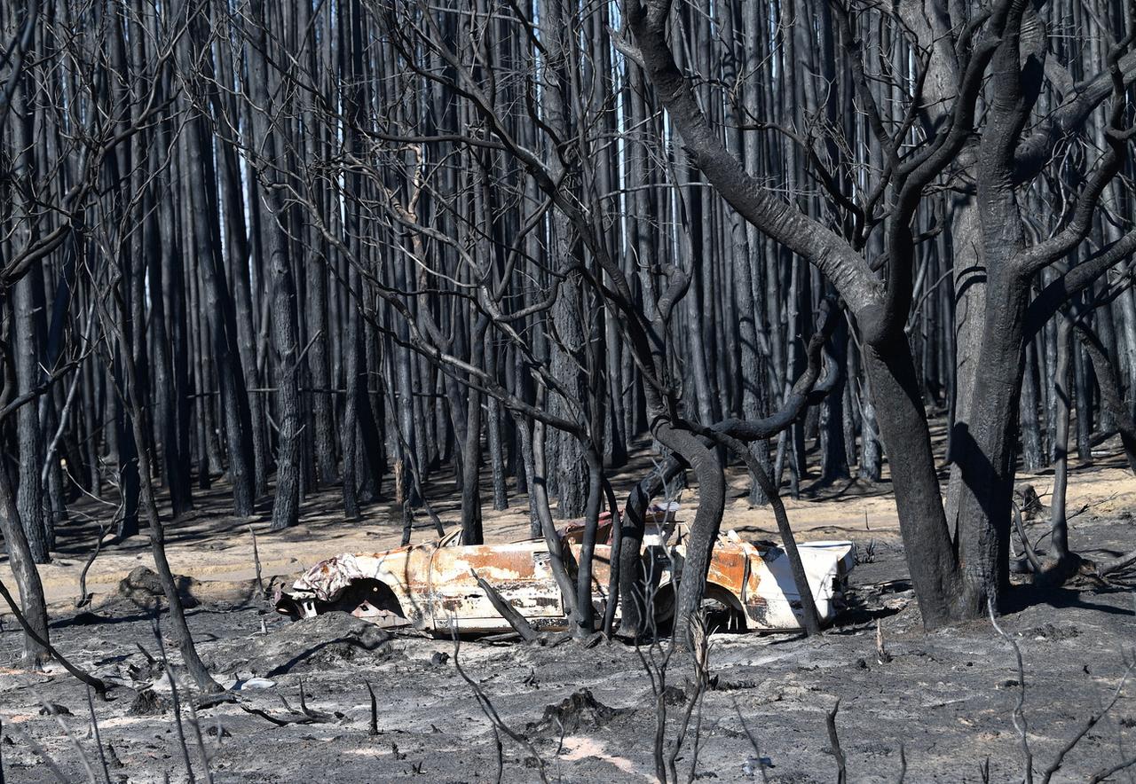 Une forêt pétrifiée et une voiture calcinée à Kangaroo Island, où plusieurs personnes ont perdu la vie. [Keystone - EPA/David Mariuz]