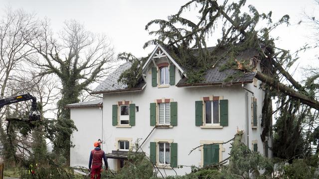 Un arbre est tombé sur une habitation à Montmollin, dans le canton de Neuchâtel. [Keystone - Laurent Darbellay]