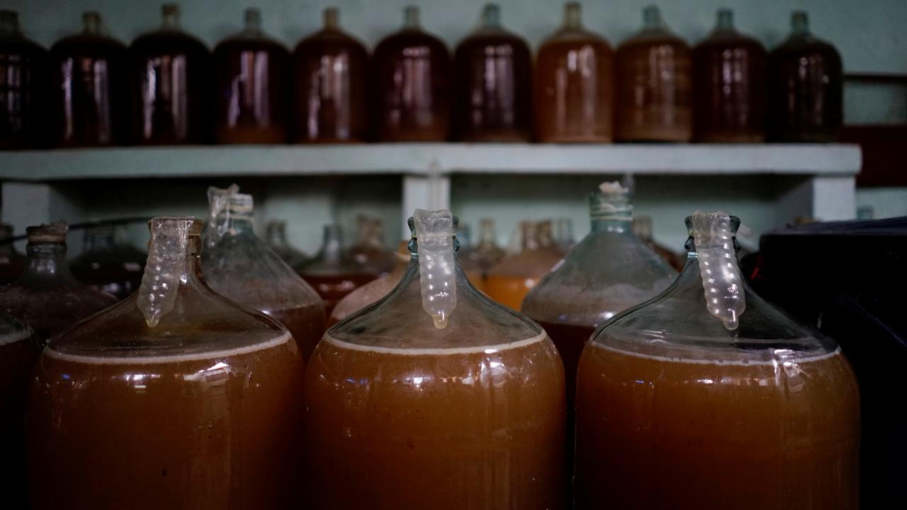 A Cuba, les préservatifs sont utilisés pour le processus de fermentation du vin. [Reuters - Alexandre Meneghini]