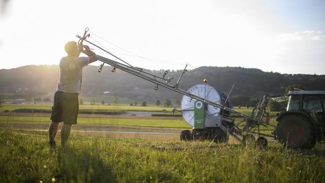 Les agriculteurs suisses ont besoin de travailleurs saisonniers. [Keystone - Gian Ehrenzeller]