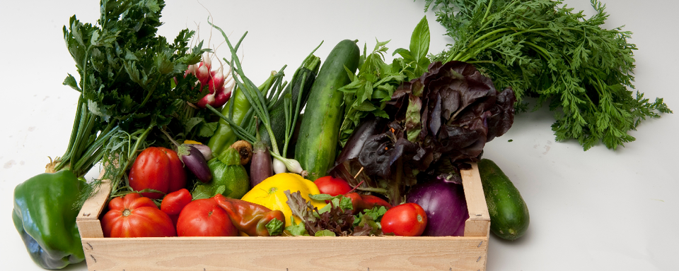 Un panier de légumes pour deux personnes, vendu 22 francs, sur le site internet du marché cuendet, à Bremblens (VD). [Marché Cuendet]