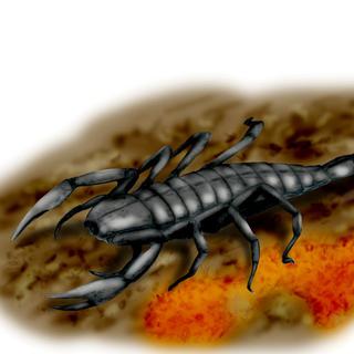 Pulmonoscorpius, un scorpion du Carbonifère mesurant 70 centimètres de long. [CC BY 3.0 - Nobu Tamura]