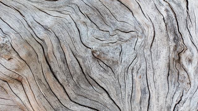 Texture d'un morceau de bois. [Depositphotos - foto76]