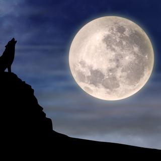 De nombreuses croyances circulent à propos des effets de la pleine lune.
realinemedia
Depositphotos [realinemedia]