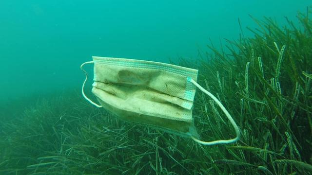 Un masque chirurgical à usage unique retrouvé dans la baie de Golfe Juan par "Opération Mer Propre", le 31 mai 2020. [Opération Mer Propre - Laurent Lombard]