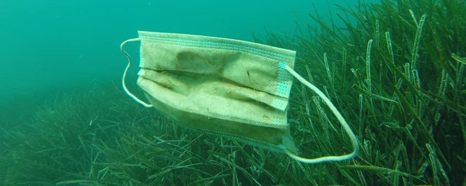 Un masque chirurgical à usage unique retrouvé dans la baie de Golfe Juan par "Opération Mer Propre", le 31 mai 2020. [Opération Mer Propre - Laurent Lombard]