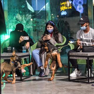 Un bar qui accepte les chiens en Arabie saoudite. [AFP - Fayez Nureldine]