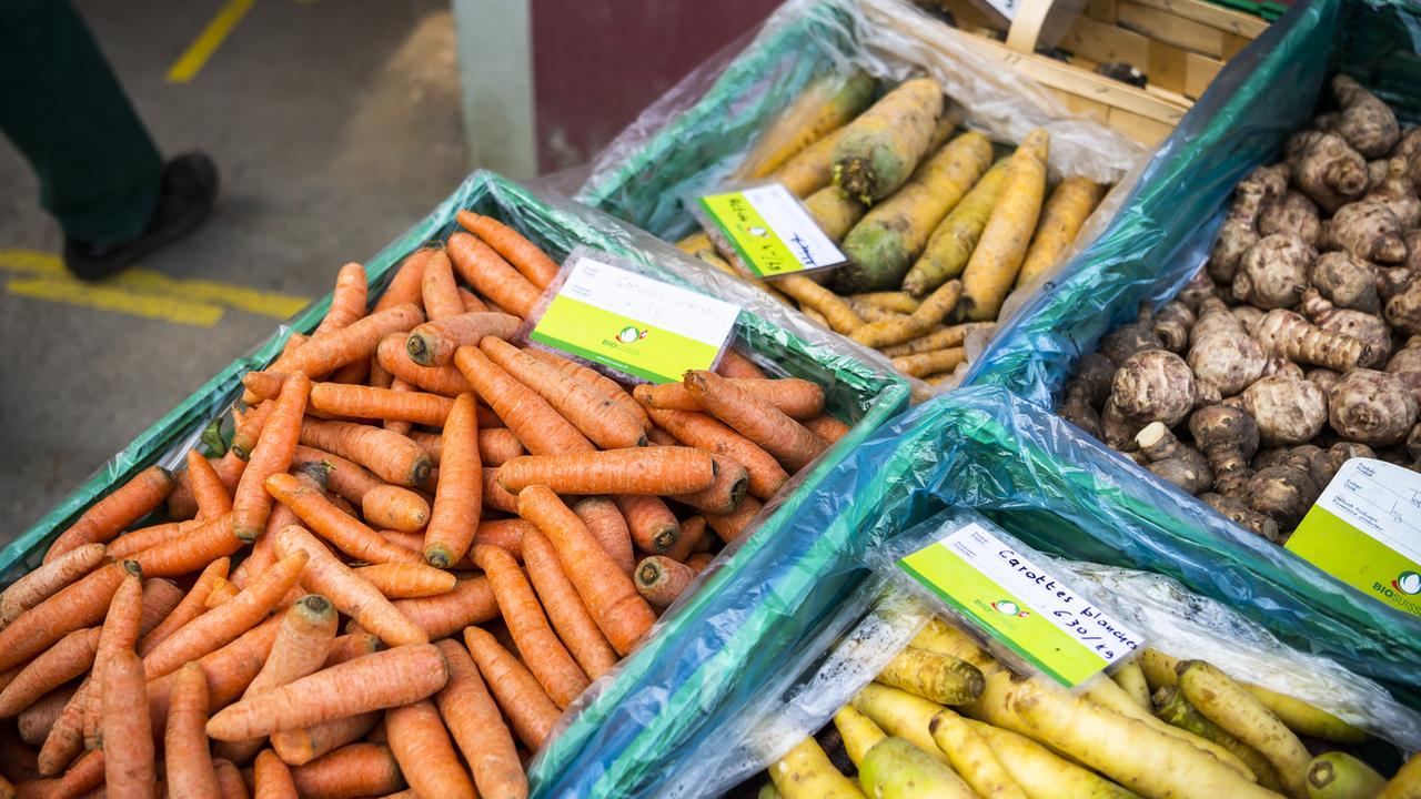 Des carottes et des légumes bio sur un marché. [Keystone - Jean-Christophe Bott]