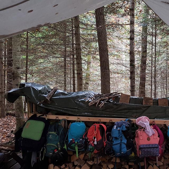 L’école en forêt toute l’année, c’est possible? [DR]