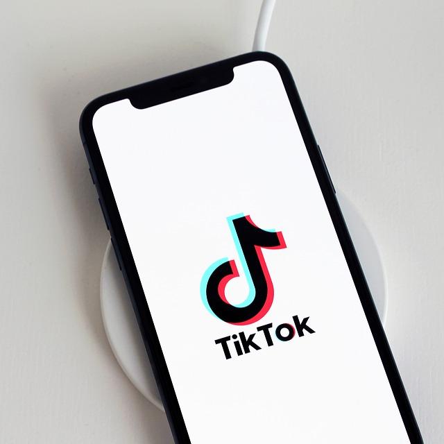 L'application Tik Tok cherche une place au soleil sur le marché de la musique en streaming (image d'illustration). [Pixabay]