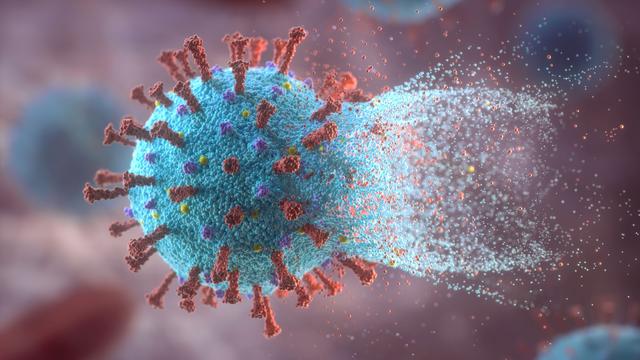 Le nouveau virus SARS-CoV-2 a muté au moment de se répandre en Europe et aux Etats-Unis. [Science Photo Library/AFP - KTS Design]