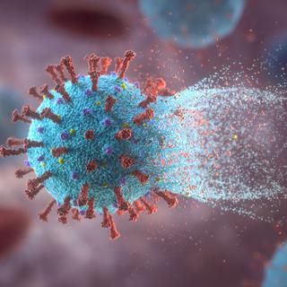 Le nouveau virus SARS-CoV-2 a muté au moment de se répandre en Europe et aux Etats-Unis. [Science Photo Library/AFP - KTS Design]