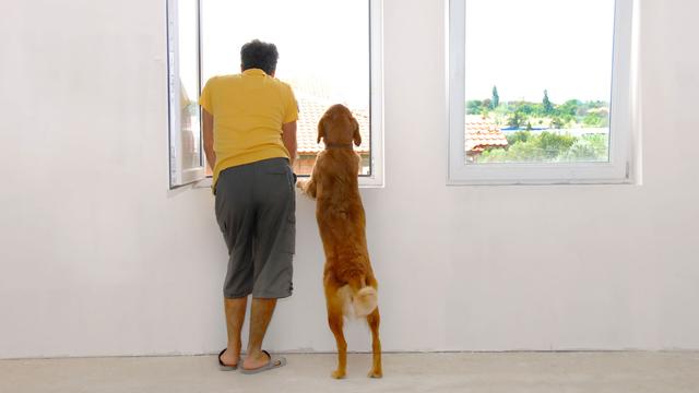 Un maître et son chien regardent à l'extérieur par une fenêtre ouverte. [Depositphotos - simply]