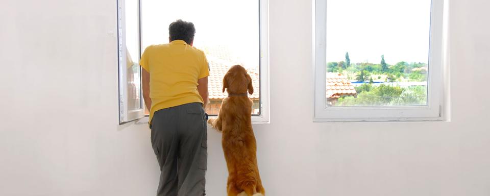 Un maître et son chien regardent à l'extérieur par une fenêtre ouverte. [Depositphotos - simply]