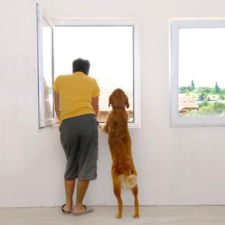 Un maître et son chien regardent à l'extérieur par une fenêtre ouverte. [Depositphotos - simply]